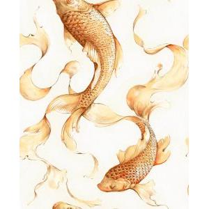 Seabrook Designs AI40610 Koi Fish Wallpaper